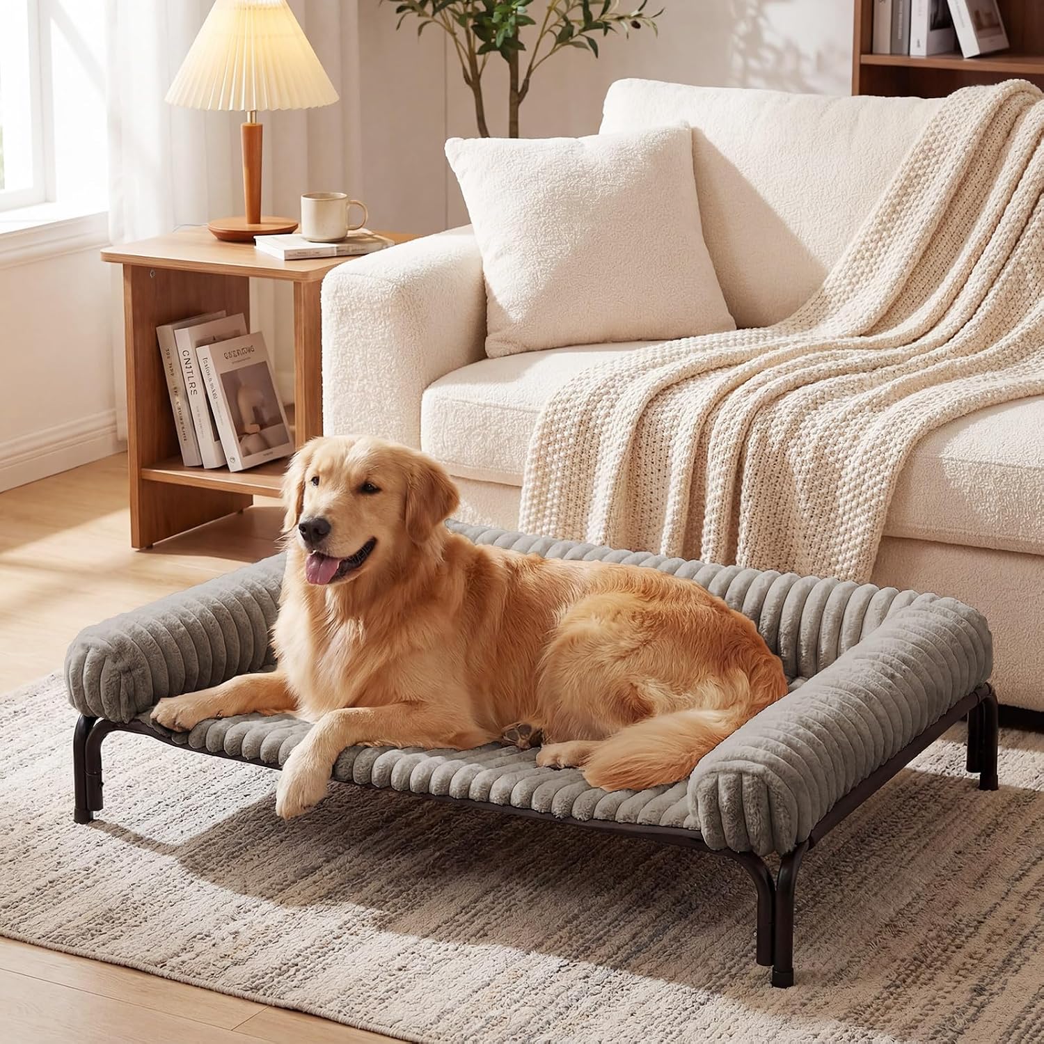 Large Elevated Dog Bed with Removable Bolster Cushion